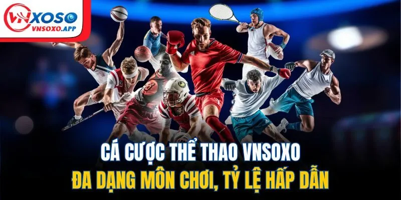 Cá cược thể thao đa dạng môn chơi, tỷ lệ hấp dẫn