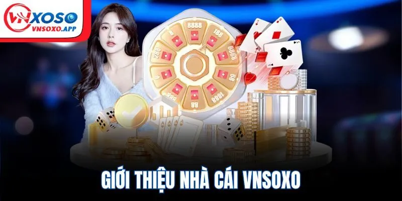Khái quát về Vnxoso